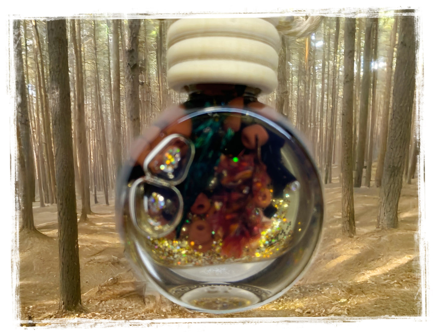 Off the Beaten Path Car Charms | Scented, Fun, and Stylish Vehicle Accessories